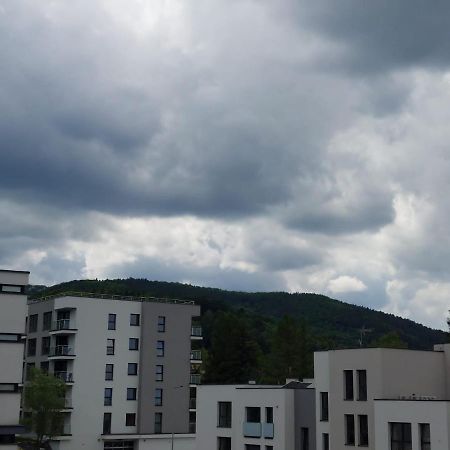 Apartament Pod Szyndzielnia, Debowiec Bielsko-Biala Exterior foto