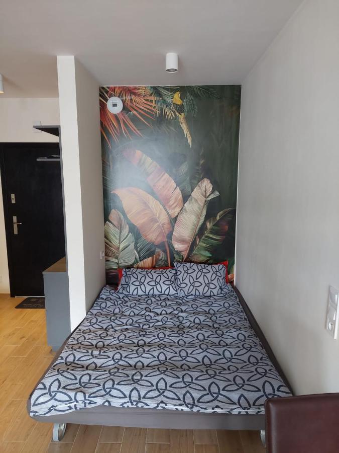 Apartament Pod Szyndzielnia, Debowiec Bielsko-Biala Exterior foto